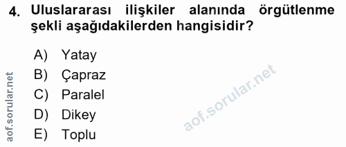 4. soru: Uluslararası ilişkiler alanında örgütlenme şekli aşağıdakilerden hangisidir? A) Yatay B) Çapraz C) Paralel D) Dikey E…