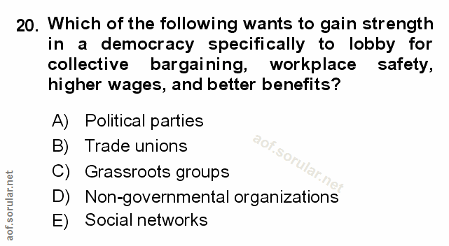 20. soru: Which of the following wants to gain strength in a democracy specifically to lobby for collective bargaining, workpla…