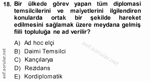 18. soru: Bir ülkede görev yapan tüm diplomasi temsilcilerini ve maiyetlerini ilgilendiren konularda ortak bir şekilde hareket…