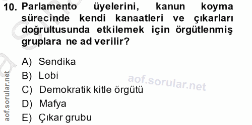 10. soru: Parlamento üyelerini, kanun koyma sürecinde kendi kanaatleri ve çıkarları doğrultusunda etkilemek için örgütlenmiş gr…