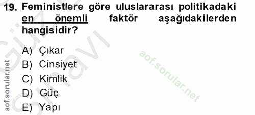 19. soru: Feministlere göre uluslararası politikadaki en önemli faktör aşağıdakilerden hangisidir? A) Çıkar B) Cinsiyet C) Kiml…