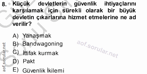 8. soru: - Küçük devletlerin güvenlik ihtiyaçlarını karşılamak için sürekli olarak bir büyük devletin çıkarlarına hizmet etmel…