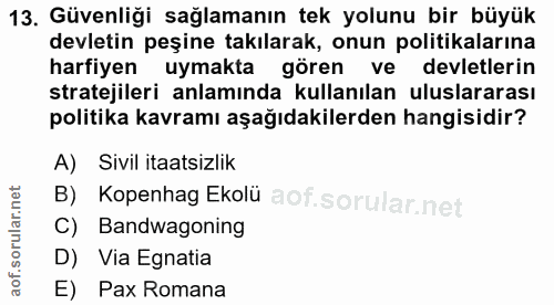 13. soru: Güvenliği sağlamanın tek yolunu bir büyük devletin peşine takılarak, onun politikalarına harfiyen uymakta gören ve de…
