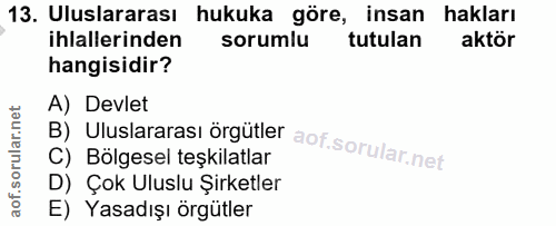13. soru: Uluslararası hukuka göre, insan hakları ihlallerinden sorumlu tutulan aktör hangisidir? B) Uluslararası örgütler A) D…