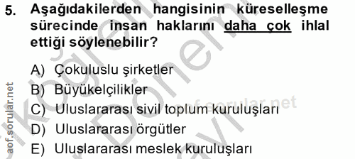 5. soru: Aşağıdakilerden hangisinin küreselleşme sürecinde insan haklarını daha çok ihlal ettiği söylenebilir? A) Çokuluslu şi…