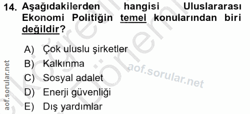 14. soru: Aşağıdakilerden hangisi Uluslararası Ekonomi Politiğin temel konularından biri değildir? A) Çok uluslu şirketler B) K…