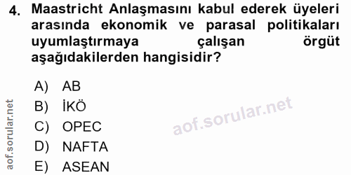 4. soru: Maastricht Anlaşmasını kabul ederek üyeleri arasında ekonomik ve parasal politikaları uyumlaştırmaya çalışan örgüt aş…