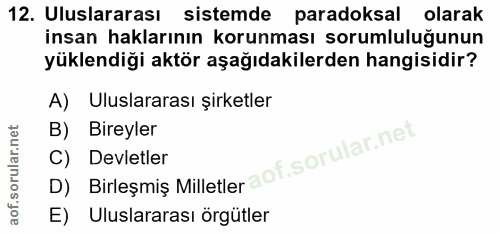 12. soru: Uluslararası sistemde paradoksal olarak insan haklarının korunması sorumluluğunun yüklendiği aktör aşağıdakilerden ha…