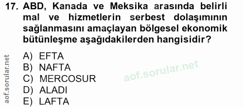 17. soru: ABD, Kanada ve Meksika arasında belirli mal ve hizmetlerin serbest dolaşımının sağlanmasını amaçlayan bölgesel ekonom…