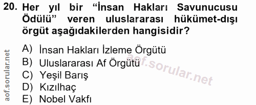 20. soru: Her yıl bir "İnsan Hakları Savunucusu Ödülü" veren uluslararası hükümet-dışı örgüt aşağıdakilerden hangisidir? B) Ulu…