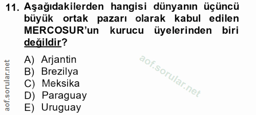 11. soru: Aşağıdakilerden hangisi dünyanın üçüncü büyük ortak pazarı olarak kabul edilen MERCOSUR'un kurucu üyelerinden biri de…