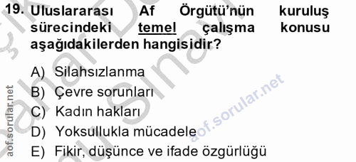 19. soru: Uluslararası Af Örgütü'nün kuruluş sürecindeki temel çalışma konusu aşağıdakilerden hangisidir? A) Silahsızlanma B) Ç…