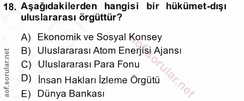 18. soru: Aşağıdakilerden hangisi bir hükümet-dışı uluslararası örgüttür? A) Ekonomik ve Sosyal Konsey B) Uluslararası Atom Ene…