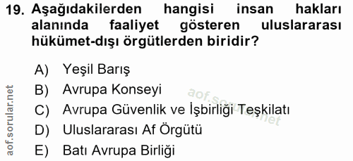 19. soru: Aşağıdakilerden hangisi insan hakları alanında faaliyet gösteren uluslararası hükümet-dışı örgütlerden biridir? A) Ye…