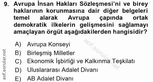 9. soru: Avrupa İnsan Hakları Sözleşmesi'ni ve birey haklarının korunmasına dair diğer belgeleri temel alarak Avrupa çapında o…