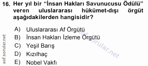 16. soru: Her yıl bir "İnsan Hakları Savunucusu Ödülü" veren uluslararası hükümet-dışı örgüt aşağıdakilerden hangisidir? A) Ulu…