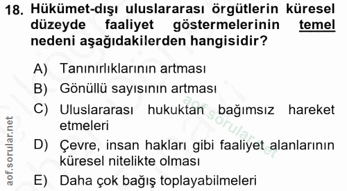 18. soru: Hükümet-dışı uluslararası örgütlerin küresel düzeyde faaliyet göstermelerinin temel nedeni aşağıdakilerden hangisidir…