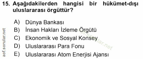 15. soru: Aşağıdakilerden hangisi bir hükümet-dışı uluslararası örgüttür? A) Dünya Bankası B) Insan Hakları İzleme Örgütü C) Ek…