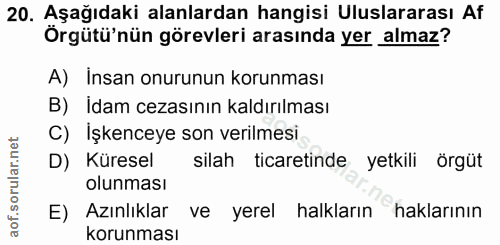 20. soru: Aşağıdaki alanlardan hangisi Uluslararası Af Örgütü'nün görevleri arasında yer almaz? A) Insan onurunun korunması B)…