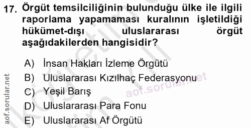 17. soru: Örgüt temsilciliğinin bulunduğu ülke ile ilgili raporlama yapamaması kuralının işletildiği hükümet-dışı uluslararası…