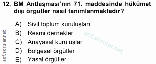 12. soru: BM Antlaşması'nın 71. maddesinde hükümet dışı örgütler nasıl tanımlanmaktadır? A) Sivil toplum kuruluşları B) Resmi d…
