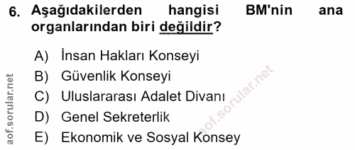 6. soru: Aşağıdakilerden hangisi BM'nin ana organlarından biri değildir? A) Insan Hakları Konseyi B) Güvenlik Konseyi lar.net…