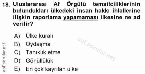 18. soru: Uluslararası Af Örgütü temsilciliklerinin bulundukları ülkedeki insan hakkı ihlallerine ilişkin raporlama yapamaması…