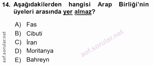 14. soru: Aşağıdakilerden hangisi Arap Birliği'nin üyeleri arasında yer almaz? A) Fas B) Cibuti C) Iran D) Moritanya E) Bahreyn