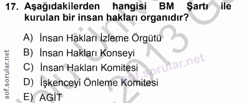 17. soru: Aşağıdakilerden hangisi BM Şartı lle kurulan bir insan hakları organıdır? A) İnsan Hakları İzleme Örgütü B) İnsan Hak…