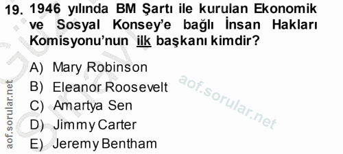 19. soru: 1946 yılında BM Şartı ile kurulan Ekonomik ve Sosyal Konsey'e bağlı İnsan Hakları Komisyonu'nun ilk başkanı kimdir? A…