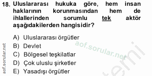 18. soru: Uluslararası hukuka göre, hem insan haklarının korunmasından hem de ihlallerinden sorumlu tek aktör aşağıdakilerden h…