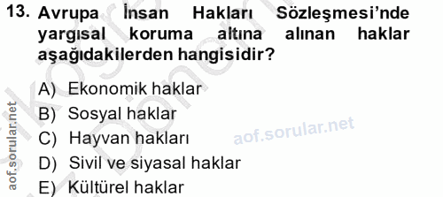 13. soru: Avrupa Insan Hakları Sözleşmesi'nde yargısal koruma altına alınan haklar aşağıdakilerden hangisidir? A) Ekonomik hakl…