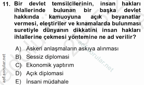 11. soru: Bir devlet temsilcilerinin, insan hakları ihlallerinde bulunan bir başka devlet hakkında • kamuoyuna açık beyanatlar…