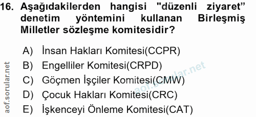16. soru: Aşağıdakilerden hangisi "düzenli ziyaret" denetim yöntemini kullanan Birleşmiş Milletler sözleşme komitesidir? A) İns…