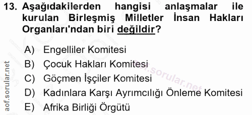 13. soru: Aşağıdakilerden hangisi anlaşmalar ile kurulan Birleşmiş Milletler İnsan Hakları Organları'ndan biri değildir? A) Eng…