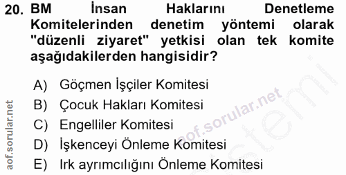 20. soru: BM İnsan Haklarını Denetleme Komitelerinden denetim yöntemi olarak "düzenli ziyaret" yetkisi olan tek komite aşağıdak…