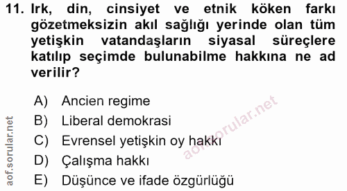 11. soru: Irk, din, cinsiyet ve etnik köken farkı gözetmeksizin akıl sağlığı yerinde olan tüm yetişkin vatandaşların siyasal sü…
