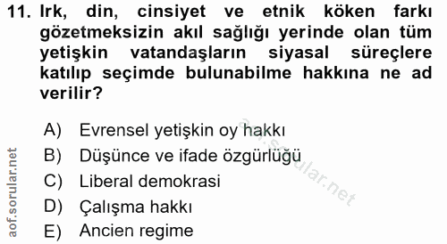11. soru: Irk, din, cinsiyet ve etnik köken farkı gözetmeksizin akıl sağlığı yerinde olan tüm yetişkin vatandaşların siyasal sü…