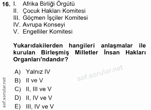 16. soru: 1. Afrika Birliği Örgütü Il. Çocuk Hakları Komitesi III. Göçmen İşçiler Komitesi IV. Avrupa Konseyi V. Engelliler Kom…