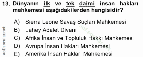 13. soru: Dünyanın ilk ve tek daimi insan hakları mahkemesi aşağıdakilerden hangisidir? A) Sierra Leone Savaş Suçları Mahkemesi…