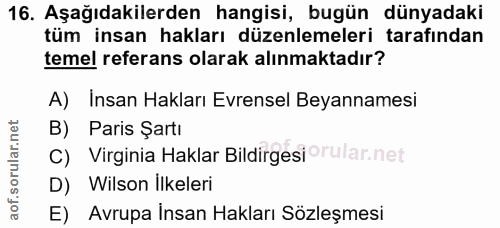 16. soru: Aşağıdakilerden hangisi, bugün dünyadaki tüm insan hakları düzenlemeleri tarafından temel referans olarak alınmaktadı…
