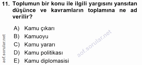 11. soru: Toplumun bir konu ile ilgili yargısını yansıtan düşünce ve kavramların toplamına ne ad verilir? A) Kamu çıkarı B) Kam…