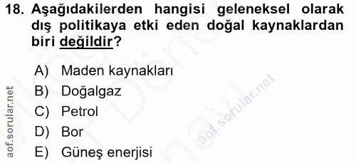 18. soru: Aşağıdakilerden hangisi geleneksel olarak dış politikaya etki eden doğal kaynaklardan biri değildir? A) Maden kaynakl…