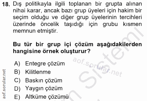 18. soru: Dış politikayla ilgili toplanan bir grupta alınan nihai karar, ancak bazı grup üyeleri için hakim bir seçim olduğu ve…