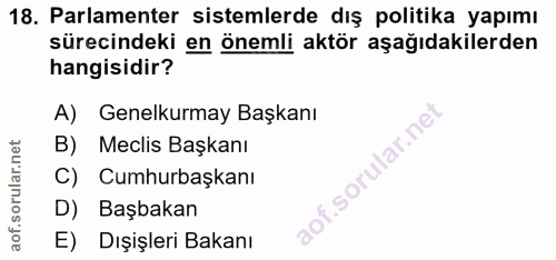 18. soru: Parlamenter sistemlerde dış politika yapımı sürecindeki en önemli aktör aşağıdakilerden hangisidir? A) Genelkurmay Ba…