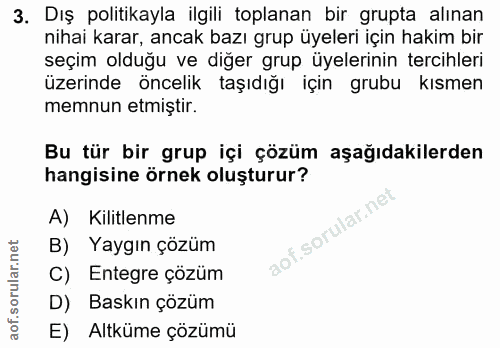 3. soru: Dış politikayla ilgili toplanan bir grupta alınan nihai karar, ancak bazı grup üyeleri için hakim bir seçim olduğu ve…