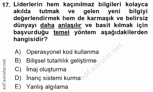 17. soru: Liderlerin hem kaçınılmaz bilgileri kolayca akılda tutmak ve gelen yeni bilgiyi değerlendirmek hem de karmaşık ve bel…