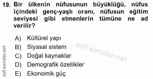 19. soru: Bir ülkenin nüfusunun büyüklüğü, nüfus içindeki genç-yaşlı oranı, nüfusun eğitim seviyesi gibi etmenlerin tümüne ne a…