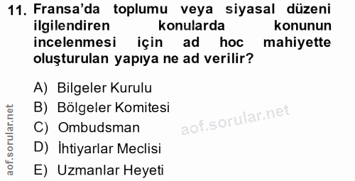 11. soru: Fransa'da toplumu veya siyasal düzeni ilgilendiren konularda konunun incelenmesi için ad hoc mahiyette oluşturulan ya…