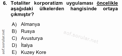 6. soru: Totaliter korporatizm uygulaması öncelikle aşağıdaki ülkelerden hangisinde ortaya çıkmıştır? A) Almanya B) Rusya C) A…